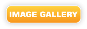 View Image Gallery